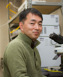 Associate Professor Yoh-ichi Tagawa