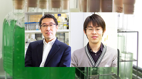 【Labs spotlight】 Tanaka and Imamura Laboratory