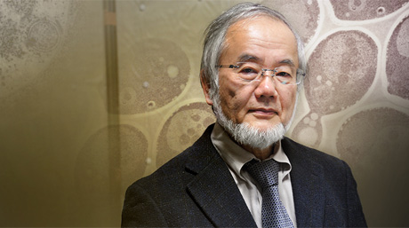 Yoshinori Ohsumi, 2016 Nobel laureate in Physiology or Medicine