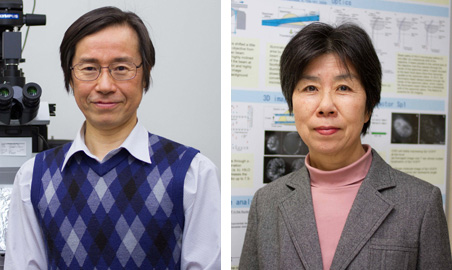 Professor Makio Tokunaga and Associate Professor Kumiko Sogawa
