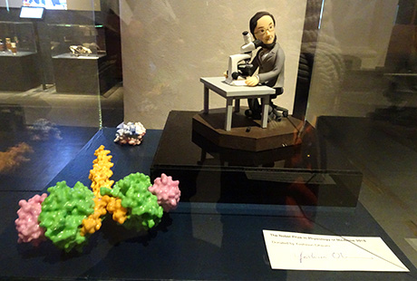 Items donated to Nobel Museum