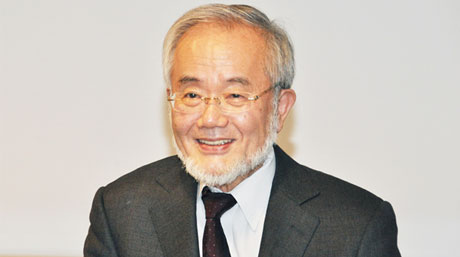 Honorary Professor Yoshinori Ohsumi receives 2016 Order of Culture