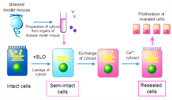 Scheme of cell-resealing technique
