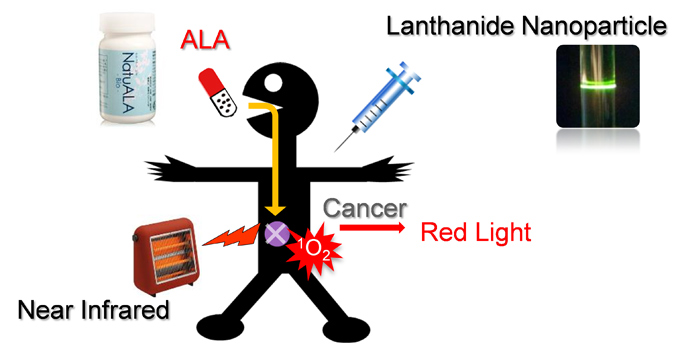 Photodynamic therapy of cancer using near-infrared and lanthanide nanoparticles.
