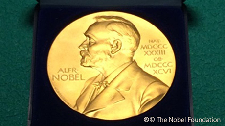 Nobel Prize medal replica at Suzukakedai Campus