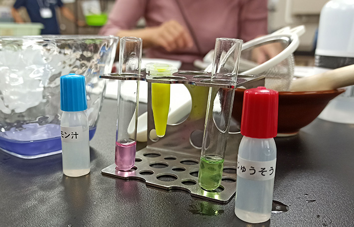 紫キャベツ色素液の変色実験