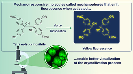 Mechanophores: Making Polymer Crystallization Processes Crystal Clear