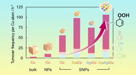 Going Small for Big Solutions: Sub-Nanoparticle Catalysts Made from Coinage Elements as Effective Catalysts