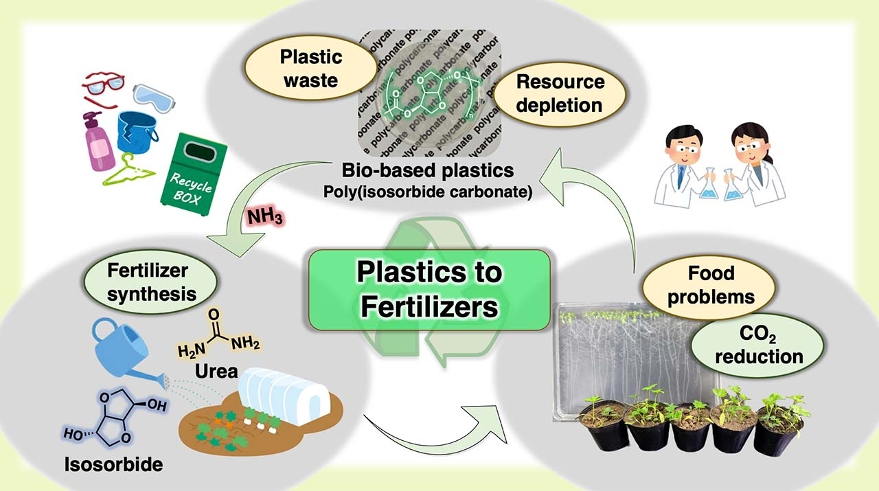 Plant from Plastics: Bio-based Polymers Can Be Transformed into Fertilizers