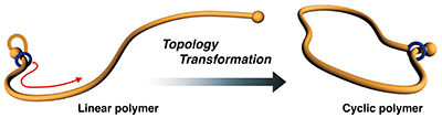 Topology Transformation