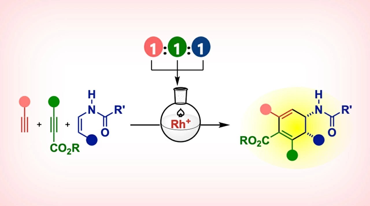 単一分子を与える究極の[2+2+2]付加環化反応を開発