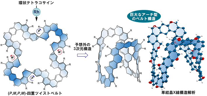 図5 四重ツイスト芳香族ベルトの合成と結構構造 