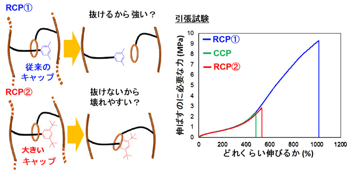 図3 異なるキャップ構造を有するRCP（左）と引張試験による評価（右） 