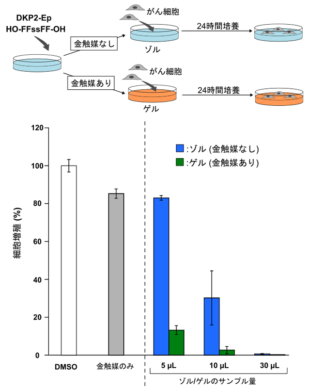 図5 ゲル化剤の繊維構造変化による細胞毒性の制御 DKP2-EpとHO-FFssFF-OHを共存させただけの条件ではがん細胞（A549細胞）に対する毒性が低かった（青）のに対し、金触媒反応によってDKP2-Waに変換した条件では毒性が高く、細胞増殖が抑制された（緑）。金触媒反応を引き金とする繊維構造変化によって細胞毒性を制御できることが確かめられた。