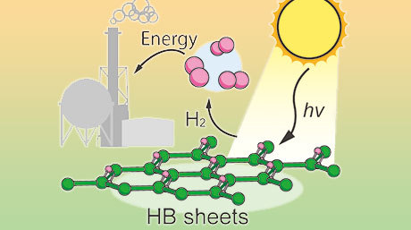 Hydrogen boride nanosheets: A promising material for hydrogen carrier