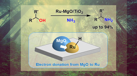 An enhanced ruthenium-based catalyst for primary amine synthesis