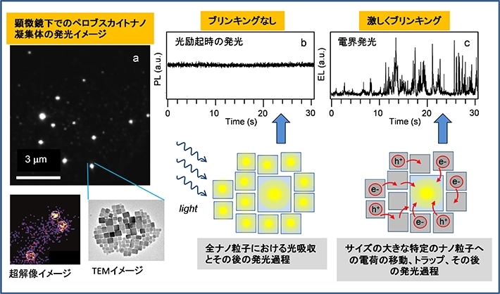 単一粒子分光計測によるCsPbBr3粒子のナノ凝集体の発光特性 （a）各々のナノ凝集体の発光イメージ（b）PL時のナノ凝集体の発光の時間変化とナノ凝集体内の発光スキーム （c）EL時のナノ凝集体の発光の時間変化とナノ凝集体内の発光スキーム