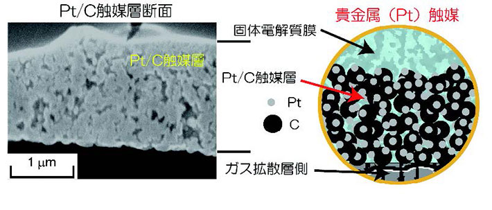 固体高分子形燃料電池の電極膜接合体のPt/C触媒層の電子顕微鏡写真（左）とその模式図（右）