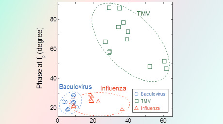 Sensing viruses by exploring their electrical properties: Continuous environmental monitoring for protection from virus threats