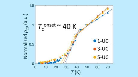 'Ironing' out the differences: Understanding superconductivity in ultrathin FeSe