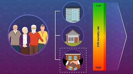 Housing type linked to cardiovascular death risk in older adults in Japan