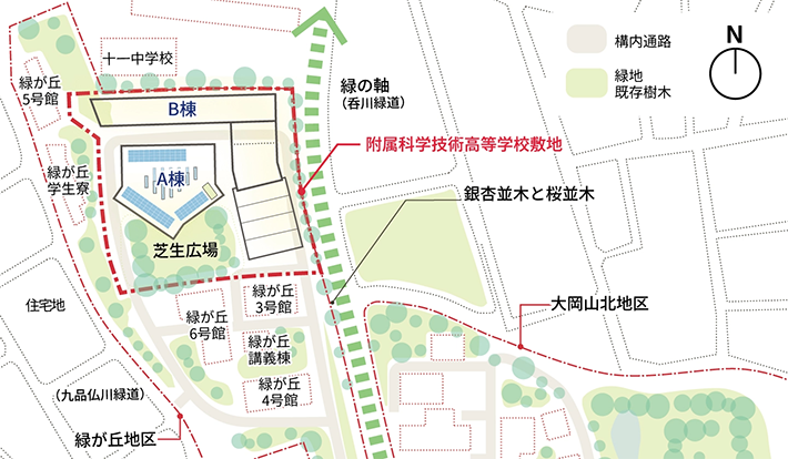 図5:校舎は野球のホームベースが変形したような5角形のA棟と、L字型の細長いB棟で構成されている。「見た目は少しいびつに感じるかもしれませんが、これは、敷地の樹木や地形の起伏などの環境の特性を活かした結果です。樹木の間を縫うように、また、地形の高低差に沿うように校舎の形を工夫しており、『緑が丘フィンガープラン』と呼ばれています」(村田)