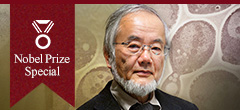 Special webpage for 2016 Nobel laureate in Physiology or Medicine