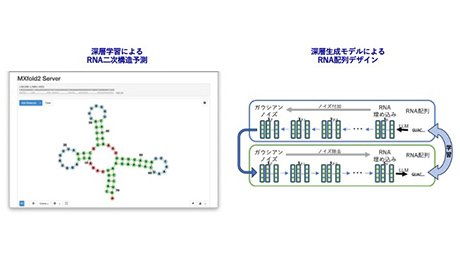 Sato Lab