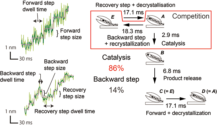 Motion and scheme