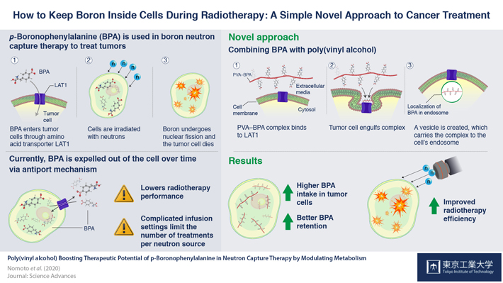 How to keep boron inside cells during radiotherapy: a simple novel approach to cancer treatment