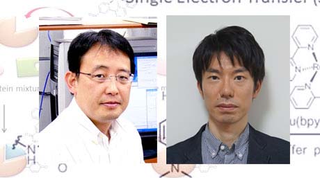 【Labs spotlight】 Nakamura and Okada Laboratory