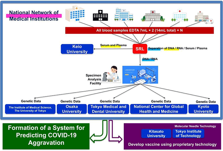 Figure 4. Coronavirus Task Force Overview