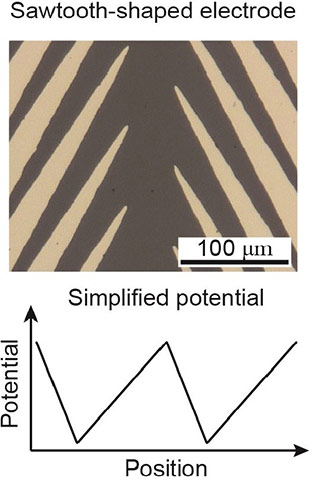 Figure 1. Twin Sawtooth Electrodes