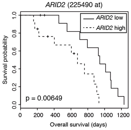 Figure 3. Survival analysis of multiple myeloma patients