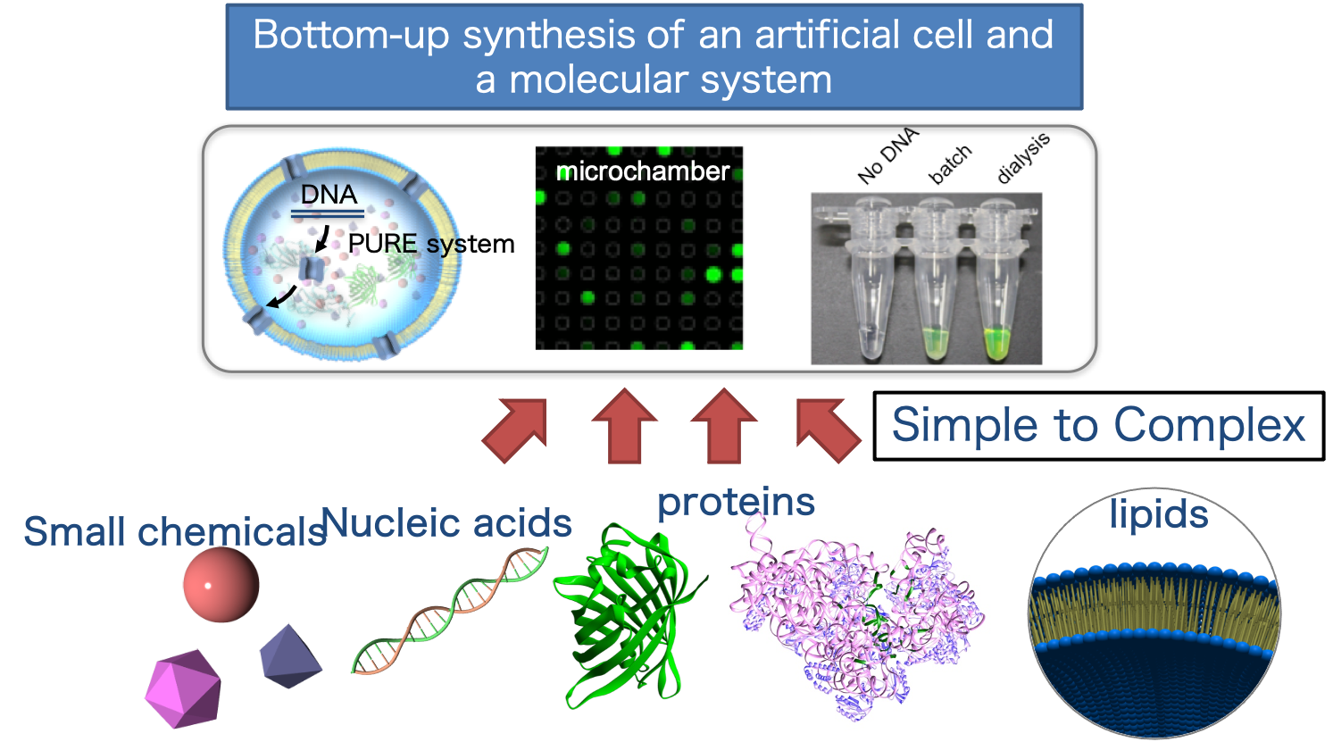 Figure 1：Bottom-up synthesis of artificial cells