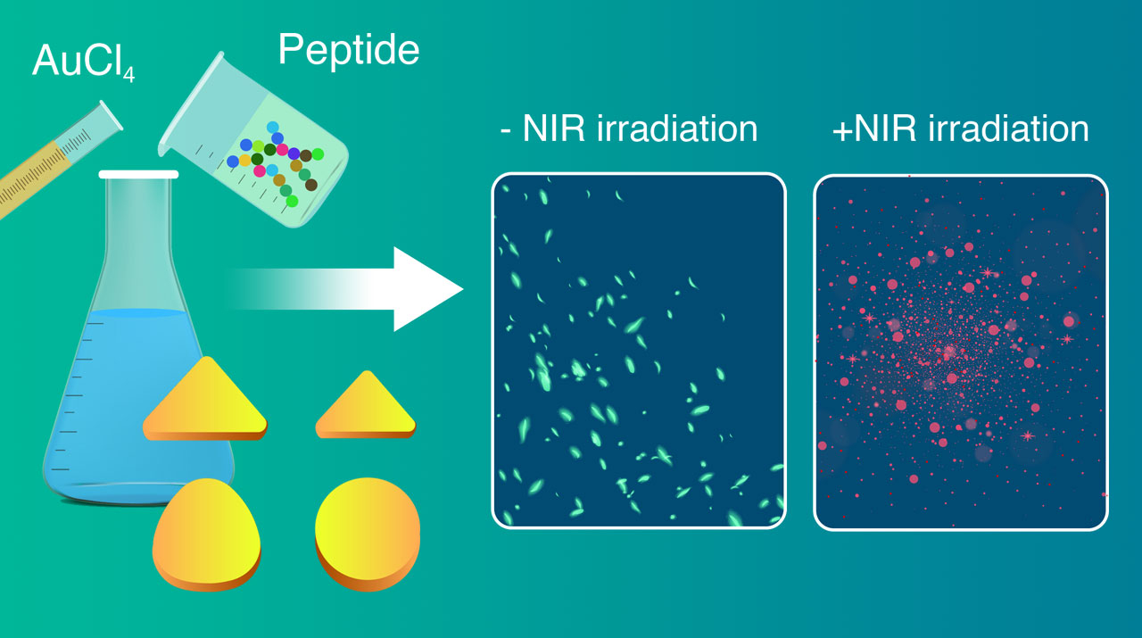 Striking Gold: Synthesizing Green Gold Nanoparticles for Cancer Therapy with Biomolecules
