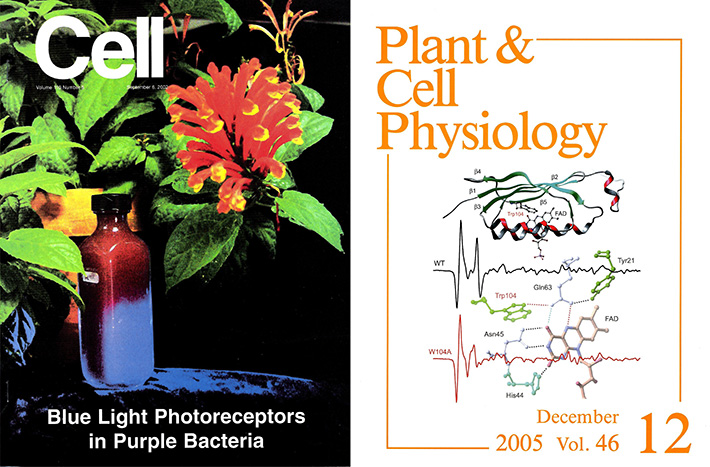 Fig. 1: Some output papers from the lab.