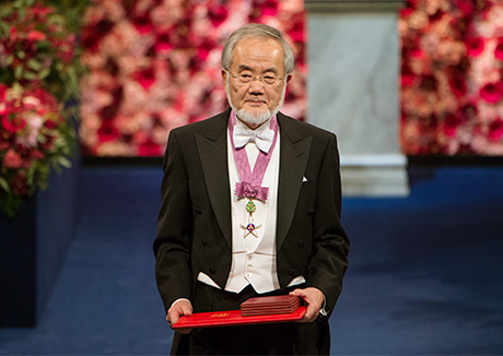 Ohsumi after receiving his Nobel Prize © Nobel Media AB 2016. Photo: Pi Frisk