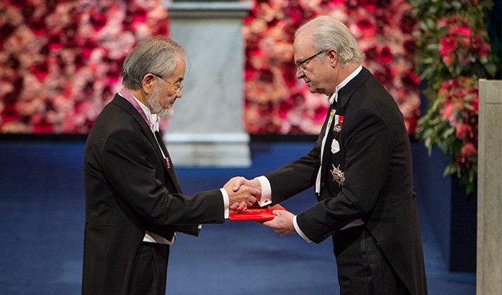 Ohsumi receiving medal and diploma from King Carl XVI Gustaf of Sweden © Nobel Media AB 2016. Photo: Pi Frisk