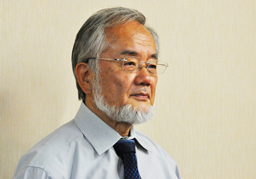 Honorary Professor Ohsumi