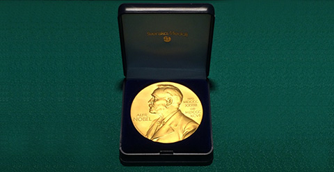 Nobel Prize medal replica (®© The Nobel Foundation)