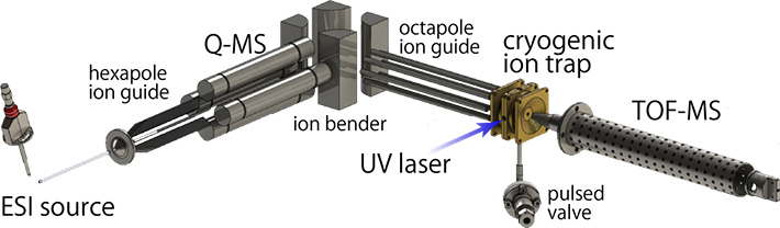 Experimental setup