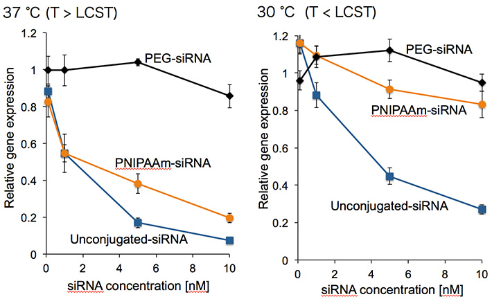 Gene silencing efficacies of polymer-conjugated siRNA systems for cultured cells at two distinct temperatures