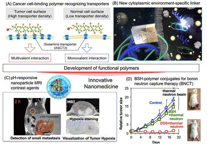 Development of functional polymers and smart diagnostic and therapeutic systems based on polymer nanotechnology