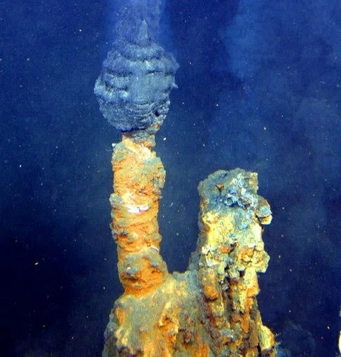 Figure 3 A hydrothermal vent system The most heat-tolerant methanogens were found at a deep-sea hydrothermal vent site. Credit: NOAA