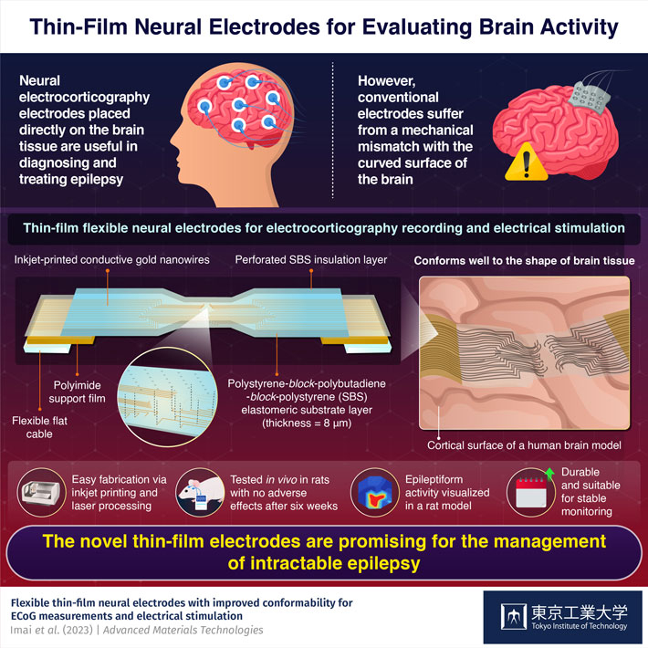 Thin-Film Neural Electrodes for Evaluating Brain Activity