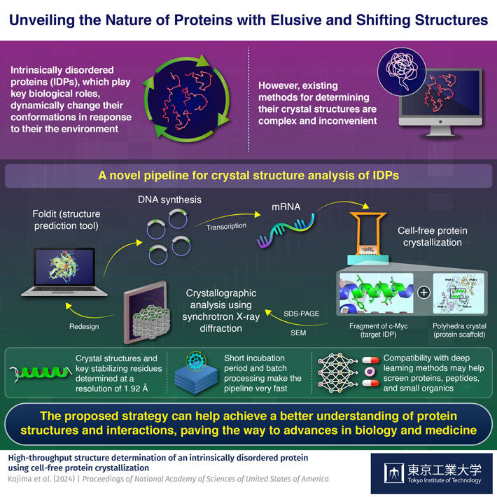 Unveiling the Nature of Proteins with Elusive and Shifting Structures