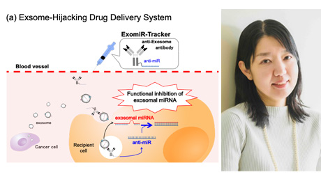 【Labs spotlight】Yamayoshi  Laboratory