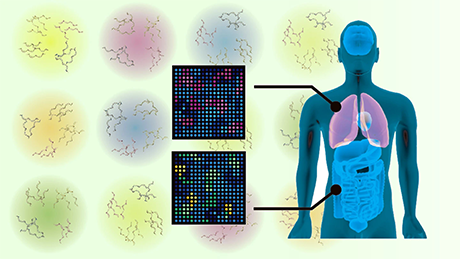 Detecting Cancer in Urine: Nanowire-based Capture of Micro-Ribonucleic Acids