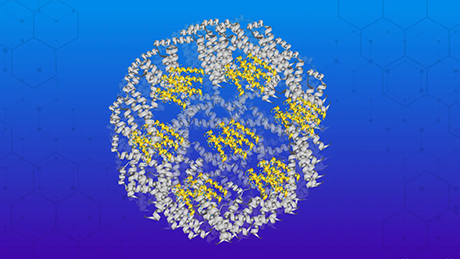 Designing efficient artificial enzymes with self-assembling protein cages
